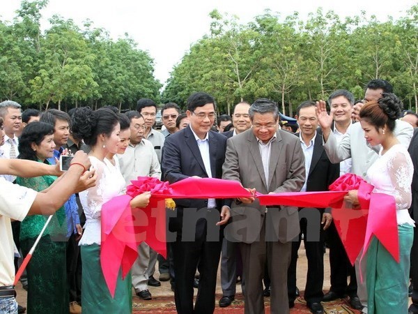 Vietnam rubber latex processing plant built in Cambodia  - ảnh 1